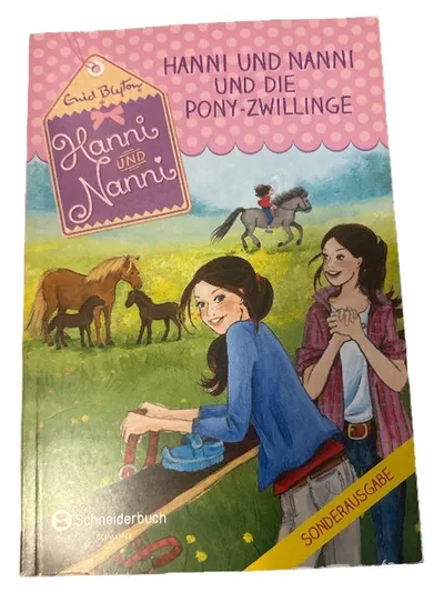 Hanni und Nanni und die Pony-Zwillinge Enid Blyton Sonderausgabe Kinderbuch