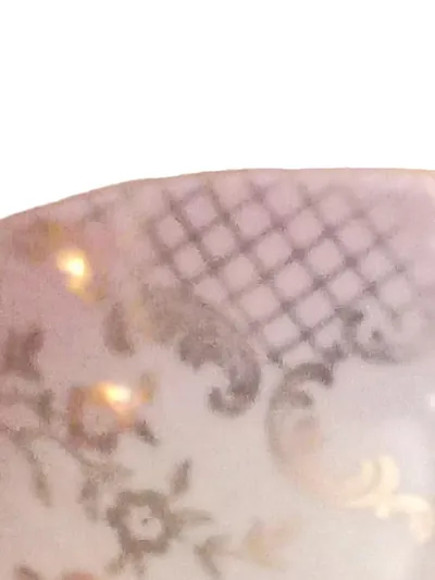 Johann Seltmann Vohenstrauß Teetasse Porzellan Vintage Rosa Blumen 5cm