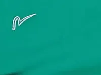 Chervò Damen Poloshirt Gr. 40/L Grün Sportlich Kurzarm 6