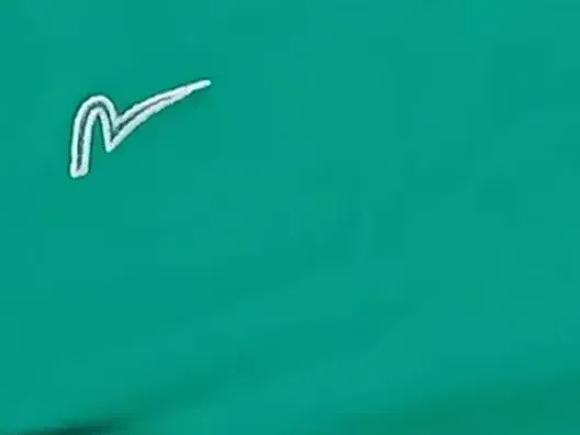 Chervò Damen Poloshirt Gr. 40/L Grün Sportlich Kurzarm 6