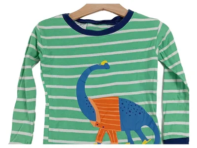 Carter's Langarmshirt Jungen Gr. 98 3T Dino Motiv Gestreift Grün Baumwolle