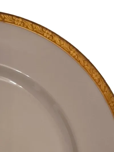 Eschenbach Essteller Porzellan Klassisch Weiß Blumen 20 cm Festlich