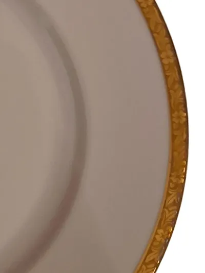 Eschenbach Platzteller Porzellan Rund Weiß Blumen 20cm Elegant Festlich