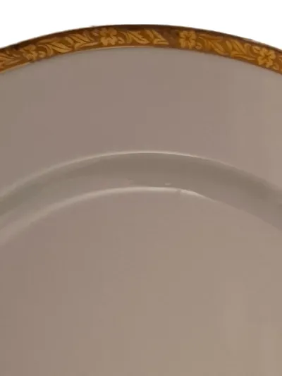 Eschenbach Essteller Porzellan Klassisch Weiß Blumen 20 cm Festlich