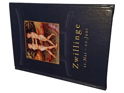 Astrologie Buch Zwillinge Horoskop Hardcover Spiritualität Esoterik Deutsch