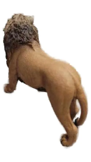 Schleich Löwe 14729 Wildtiere Spielfigur Braun 9 cm Afrika Safari