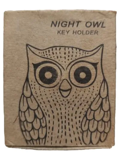 Night Owl Schlüsselbrett Eulen Design Schlüsselhalter Wandmontage 6x4 cm