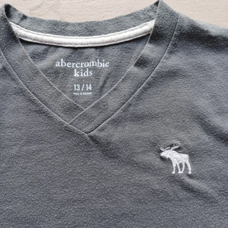 Abercrombie Kids T-Shirt Jungen Gr. 158 13/14 Jahre Grau V-Ausschnitt Logo 2