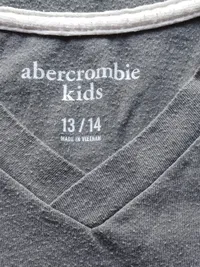Abercrombie Kids T-Shirt Jungen Gr. 158 13/14 Jahre Grau V-Ausschnitt Logo 4