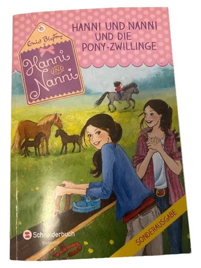 Hanni und Nanni und die Pony-Zwillinge Enid Blyton Sonderausgabe Kinderbuch
