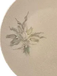 Rosenthal Kuchenteller Porzellan Blumenmuster Klassisch Weiß 19 cm