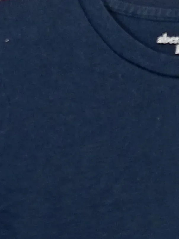 Abercrombie Kids Langarmshirt Gr. 176 (15-16 Jahre) Blau Elch Logo Jungen 5