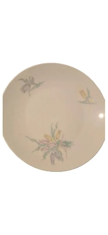 Rosenthal Kuchenteller Porzellan Klassisch Blumenmuster Weiß 19 cm