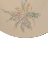 Rosenthal Kuchenteller Porzellan Klassisch Blumenmuster Weiß 19 cm