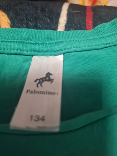 Palomino T-Shirt Dinosaurier Yawn-O-Saurus Gr. 134 Grün Jungen