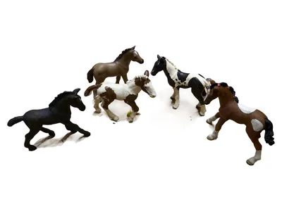 Schleich Pferde Fohlen Set 5 Figuren Spielfiguren Sammlung