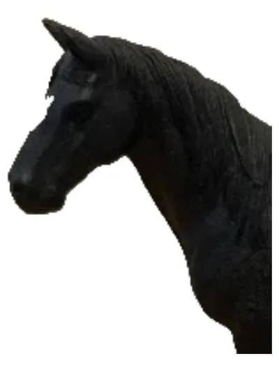 Schleich Pferd schwarz mit Decke Halfter Zubehör Set Kinder