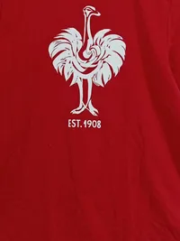 Engelbert Strauss T-Shirt Kinder Gr. 158/164 Rot Strauß Logo Cotton 3