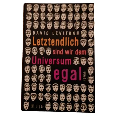 David Levithan Letztendlich sind wir dem Universum egal Taschenbuch LGBTQ Buch