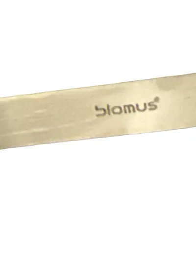 Blomus Austerngabel Edelstahl Silber 10.5cm Modern Festlich