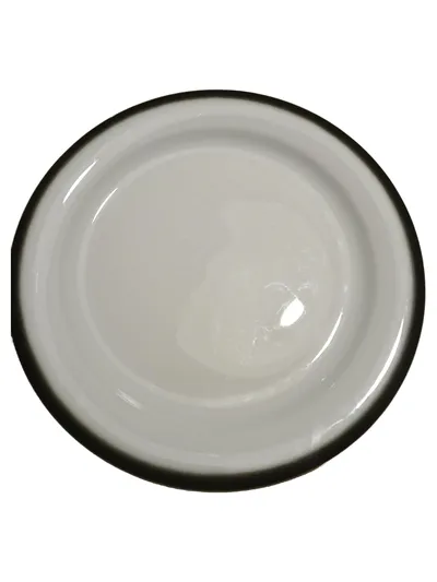 Arzberg Essteller Porzellan Weiß Basic Teller 25cm