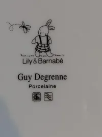 Guy Degrenne Kinderteller Porzellan Lily & Barnabé Gelb Hase Bär 20cm 4