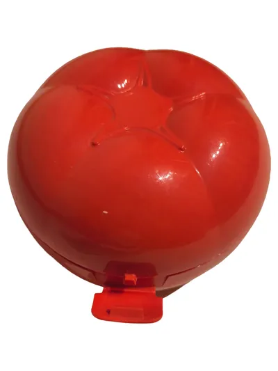 Tupperware Tomatenbehälter Rot Praktischer Aufbewahrungsbehälter