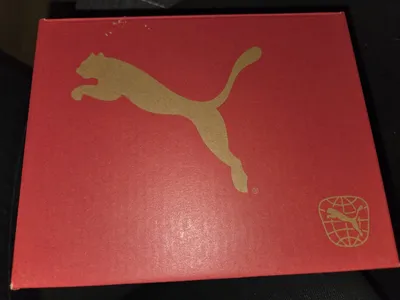 PUMA Kinder Sneaker Lauflernschuhe Gr. 22 Blau Klettverschluss