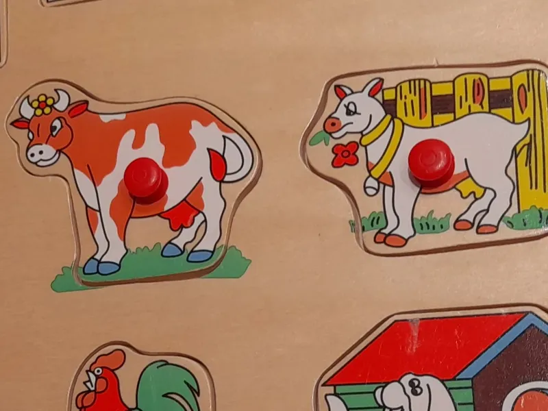Eichhorn Steckpuzzle Bauernhof Holzpuzzle Kinder Motorikspielzeug Tiere 4