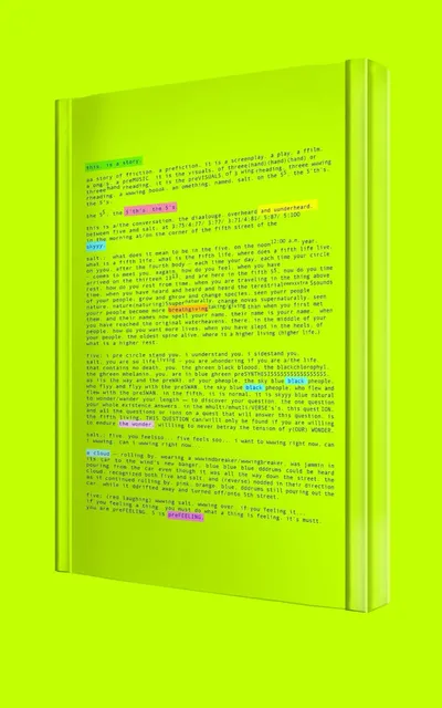 salt. Lyrikbuch Hardcover Englisch Gedichtband Dialog Avantgarde