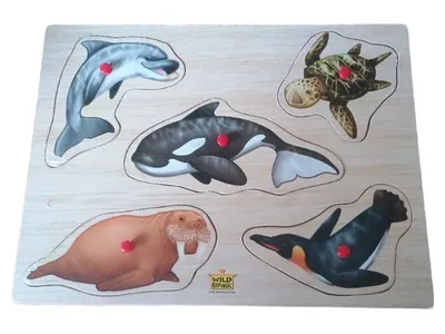 Wild Republic Meeresbewohner Steckpuzzle Holzspielzeug Kinder
