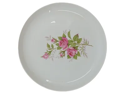 Arzberg Kuchenteller Essteller Porzellan Weiß Rosenmotiv Blumen 17 cm Klassisch