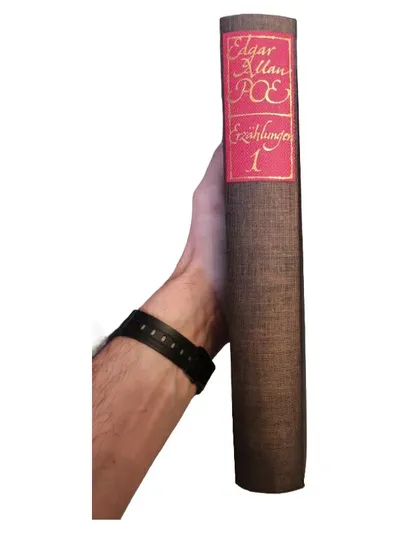 Edgar Allan Poe Erzählungen Buch Klassische Literatur Horror 1. Ausg.