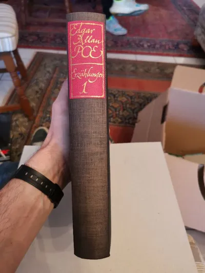 Edgar Allan Poe Erzählungen Buch Klassische Literatur Horror 1. Ausg.