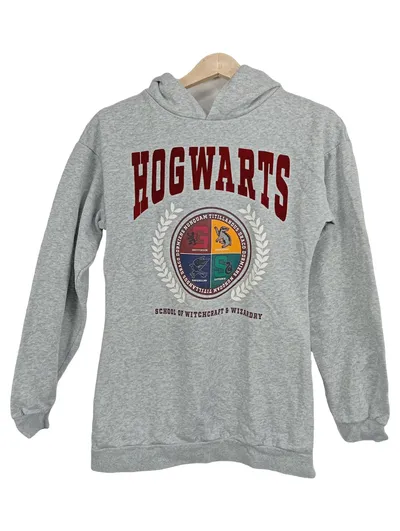 Harry Potter Kapuzenpullover Hoodie Hogwarts Wappen Kinder Gr. 158 Grau