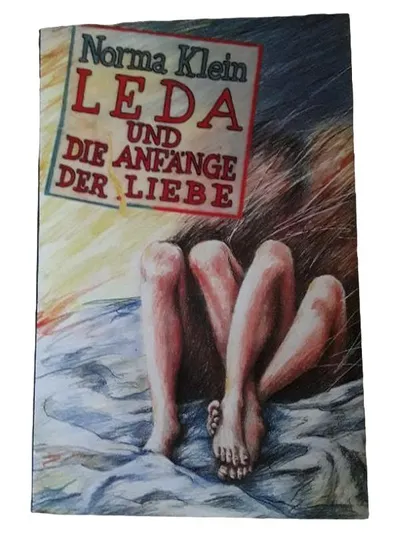 Leda und die Anfänge der Liebe Norma Klein Buch für Jugendliche Roman