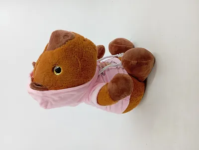 Flo's Toys Kuscheltier Capybara Plüschtier mit Hoodie Braun 30cm
