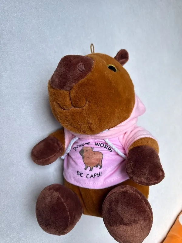 Flo's Toys Kuscheltier Capybara Plüschtier mit Hoodie Braun 30cm 3