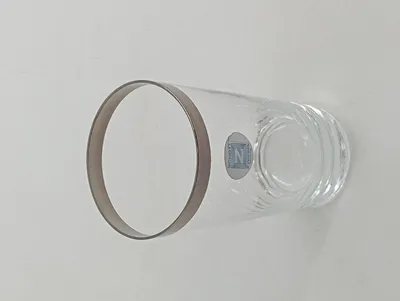 SCHOTT ZWIESEL Trinkglas Wasserglas Platinrand Transparent Elegant 12cm