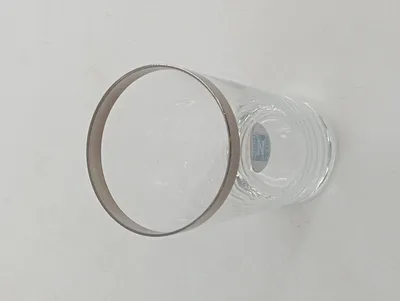 SCHOTT ZWIESEL Trinkglas Wasserglas Transparent Platinrand 12cm