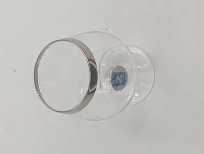 SCHOTT ZWIESEL Cognacglas Schwenker mit Platinrand Glas 300ml 10cm Transparent