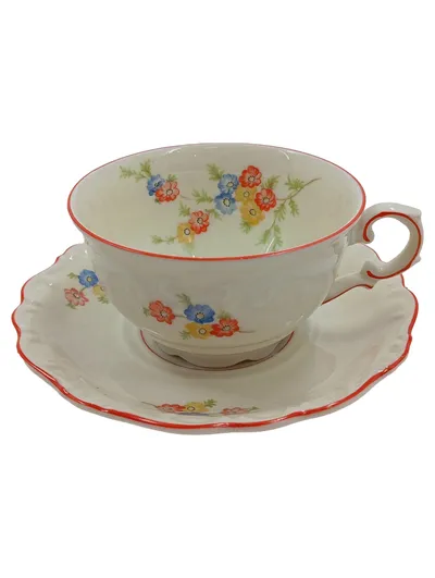 Schumann Arzberg Tasse und Unterteller Blumenmuster Porzellan Weiß