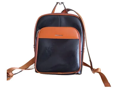 BOSTANTEN Rucksack Damen Leder Schwarz Braun Klassisch Alltag 31x36cm