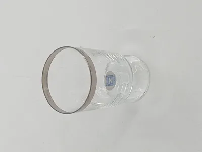 SCHOTT ZWIESEL Trinkglas Wasserglas mit Platinrand 10, 5cm