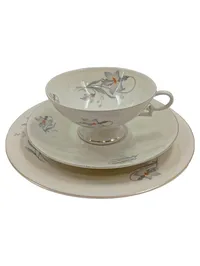 Arzberg Sammelgedeck 3-teilig Porzellan Weiß Blumenmuster Tasse Untertasse 1