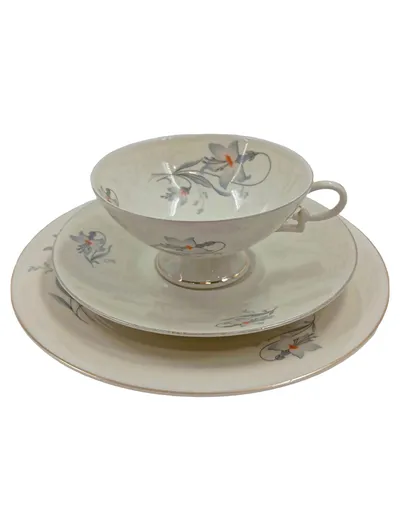 Arzberg Sammelgedeck 3-teilig Porzellan Weiß Blumenmuster Tasse Untertasse