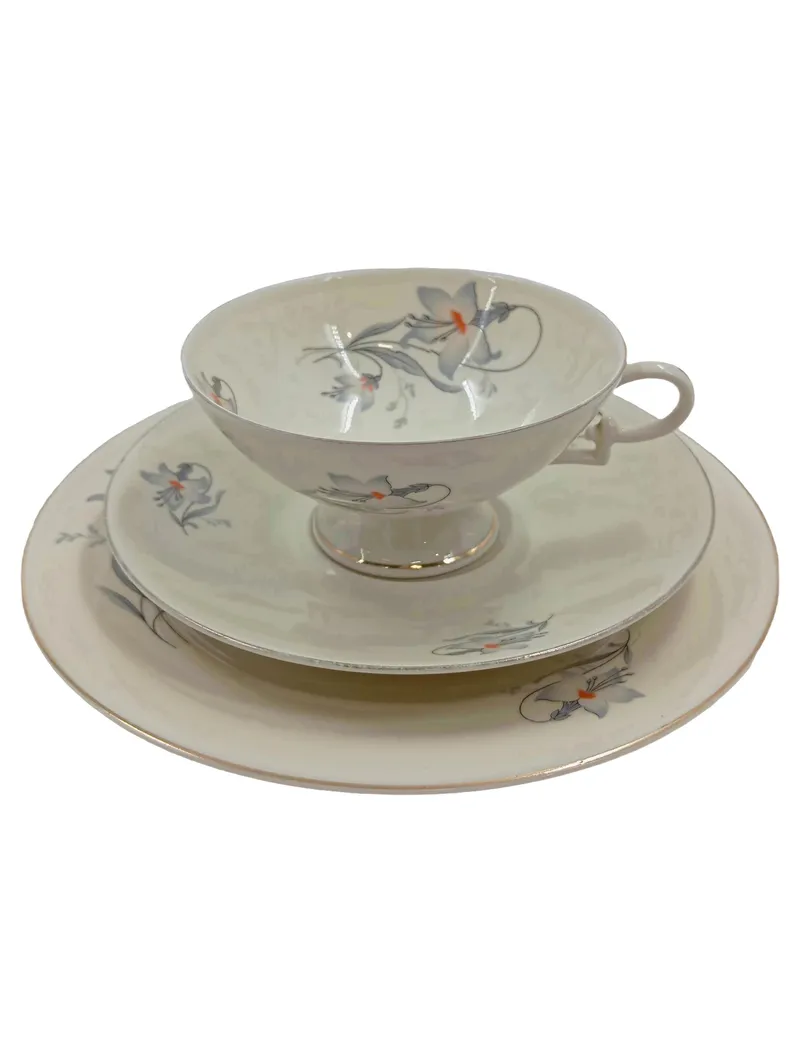 Arzberg Sammelgedeck 3-teilig Porzellan Weiß Blumenmuster Tasse Untertasse 1