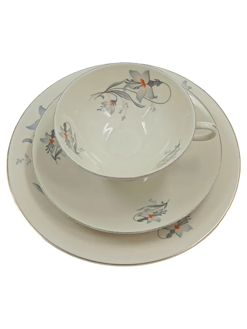 Arzberg Sammelgedeck 3-teilig Porzellan Weiß Blumenmuster Tasse Untertasse 2