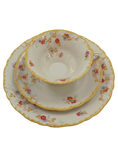 Altenburg Tasse und Unterteller Set Porzellan Weiß Blumenmuster Vintage