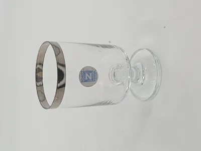 SCHOTT ZWIESEL Trinkglas Kunststoff Platinrand 10, 5cm Transparent